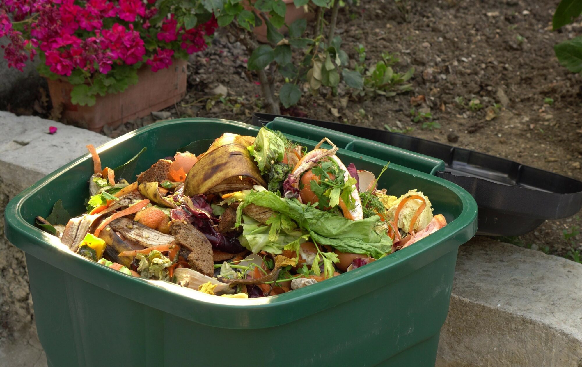 A bin filled with materials that comprise green waste, such as k