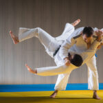 Image de Judo Club de Lognes