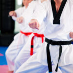 Image de Taekwondo Club de Lognes